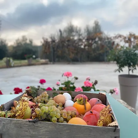 Nature&chill דירה